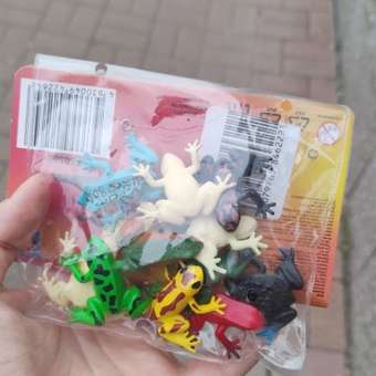 Игровой набор 1TOY Лягушки: отзыв пользователя ДетМир