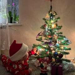 Фото отзыва 10892152