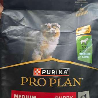 Корм сухой для щенков PRO PLAN SENSITIVE DIGESTION 1.5 кг с ягненком для средних пород: отзыв пользователя. Зоомагазин Зоозавр