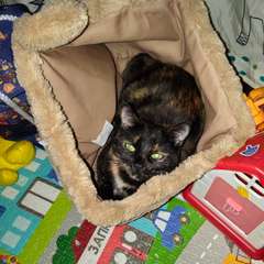 Фото отзыва 10779864