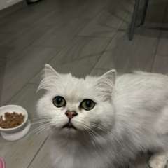 Фото отзыва 11029515