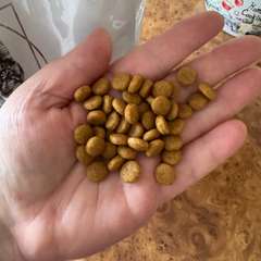 Фото отзыва 11038896