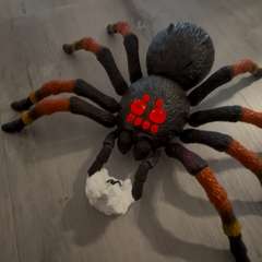 Фото отзыва 10610844