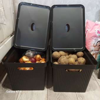 Лоток Econova с крышкой Velvet 38х27х24.9 см 20 л черный: отзыв пользователя Детский Мир