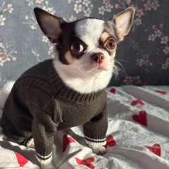 Фото отзыва 10507551