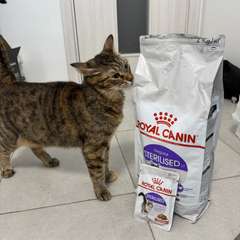 Фото отзыва 10978752