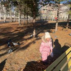 Фото отзыва 10549361