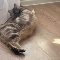 Фото отзыва 11175452