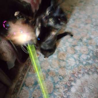 Игрушка-дразнилка для кошек Triol Разноцветные перья 55см: отзыв пользователя. Зоомагазин Зоозавр