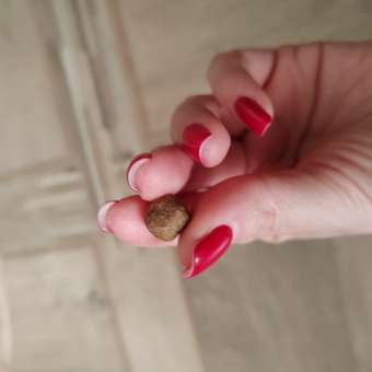 Корм для собак Grandorf Dog White Fish Mini белая рыба для собак мини пород 3кг: отзыв пользователя. Зоомагазин Зоозавр