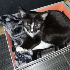 Фото отзыва 11279595