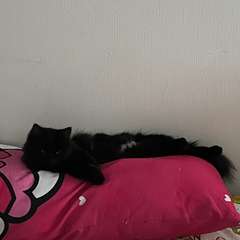 Фото отзыва 10891145