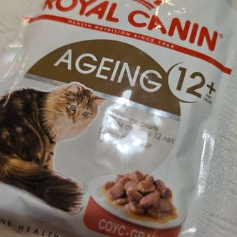Корм для кошек ROYAL CANIN Ageing 85гр для пожилых 12+ в соусе пауч: отзыв пользователя. Зоомагазин Зоозавр