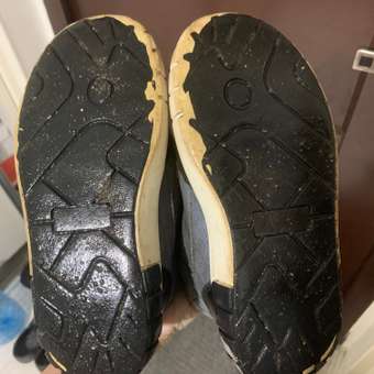 Кеды Jook: отзыв пользователя Детский Мир