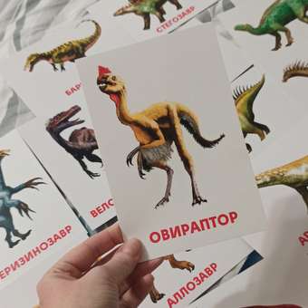 Карточки Проф-Пресс развивающие 3 упаковки по 19 шт 12х18 см. Буквы и цифры+динозавры+одежда и обувь: отзыв пользователя Детский Мир