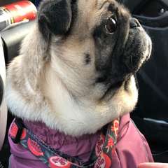 Фото отзыва 10941737