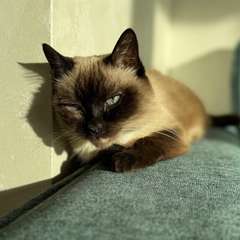 Фото отзыва 10742606