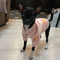 Фото отзыва 10695025