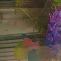 Фото отзыва 10629099