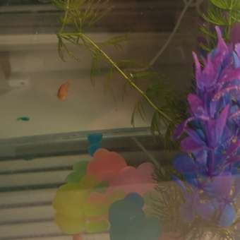 Набор для раскопок Десятое королевство Светящиеся камни: отзыв пользователя Детский Мир