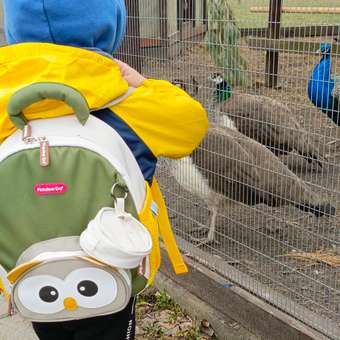Рюкзак PIFPAF KIDS: отзыв пользователя Детский Мир