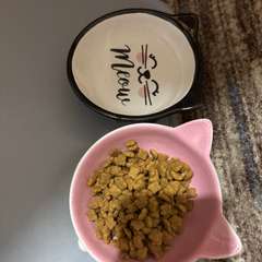 Фото отзыва 10892101