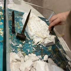 Фото отзыва 10659669