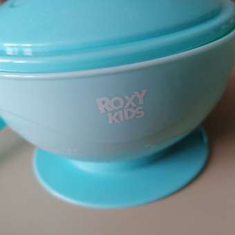 Ложка ROXY-KIDS: отзыв пользователя Детский Мир