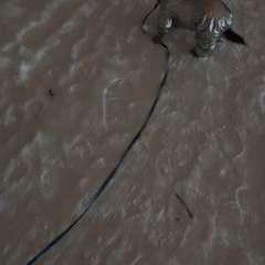 Видео отзыва 10831962