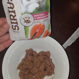 Корм для кошек Sirius 85г Premium Adult лосось с овощами кусочки в соусе пауч: отзыв пользователя. Зоомагазин Зоозавр