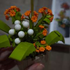 Фото отзыва 10698737