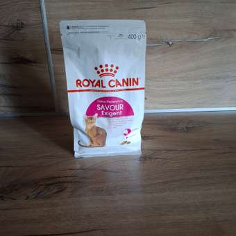 Корм сухой для кошек ROYAL CANIN Exigent Savour 400г привередливых к вкусу продукта: отзыв пользователя. Зоомагазин Зоозавр