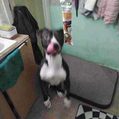 Фото отзыва 8821366