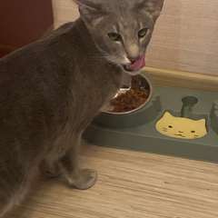 Фото отзыва 10581023