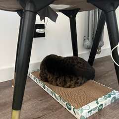 Фото отзыва 11187187