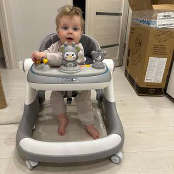 Ходунки Babyton Easy Walk Grey серый: отзыв пользователя ДетМир