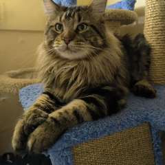 Фото отзыва 10705658