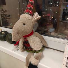 Фото отзыва 10762785