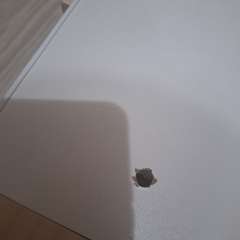 Фото отзыва 11111241