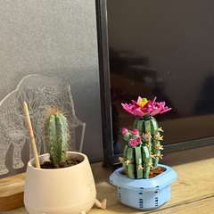 Фото отзыва 11346525