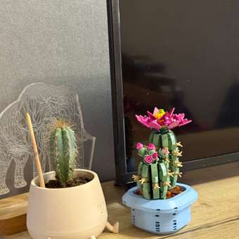 Конструктор LEGO Botanicals Цветущий кактус 482 дет.: отзыв пользователя Детский Мир