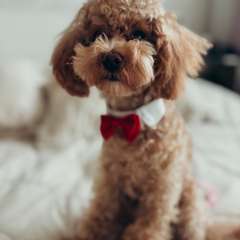 Фото отзыва 10789167