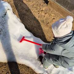 Фото отзыва 11193462