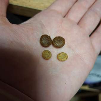 Корм для собак GRANDORF VETERINARY при пищевой аллергии 1кг: отзыв пользователя. Зоомагазин Зоозавр