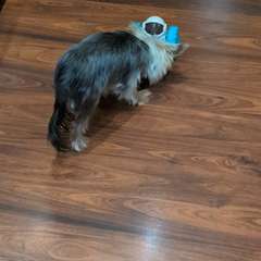 Фото отзыва 10746276