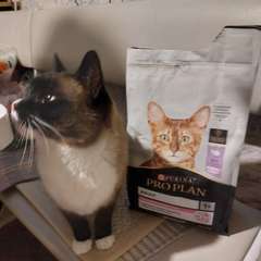 Фото отзыва 10725864