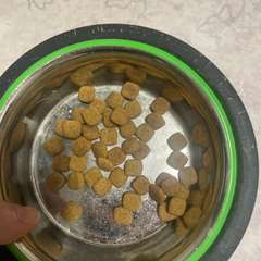 Фото отзыва 10920369