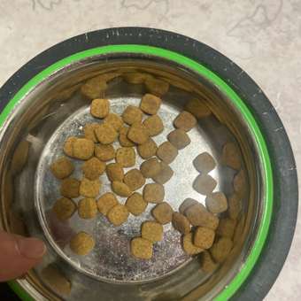 Корм для кошек ROYAL CANIN Gastrointestinal Hairball для профилактики образования волосяных комочков 350г: отзыв пользователя. Зоомагазин Зоозавр