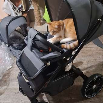 Коляска 3в1 JOVOLA Pepper 3в1, темно-серый: отзыв пользователя Детский Мир