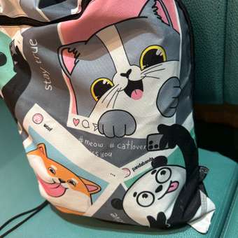 Мешок для обуви Феникс +: отзыв пользователя Детский Мир